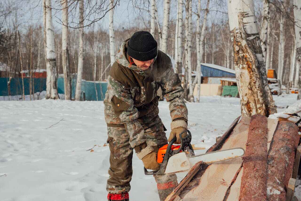 Best Stump Grinding Near Me  in USA